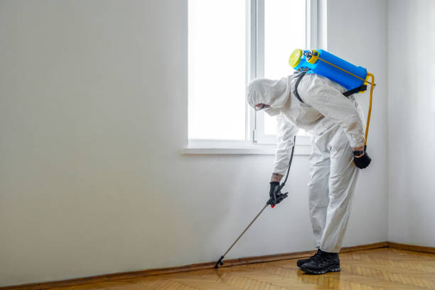 Reliable San Castle, FL Pest Control Solutions